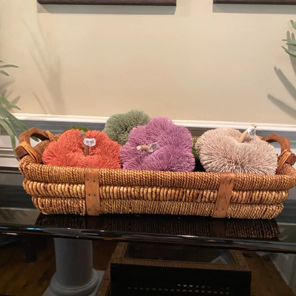 NWT ANTHROPOLOGIE TERRAIN Beige  BRUSH BOTTLE PUMPKIN - Picture 5 of 6